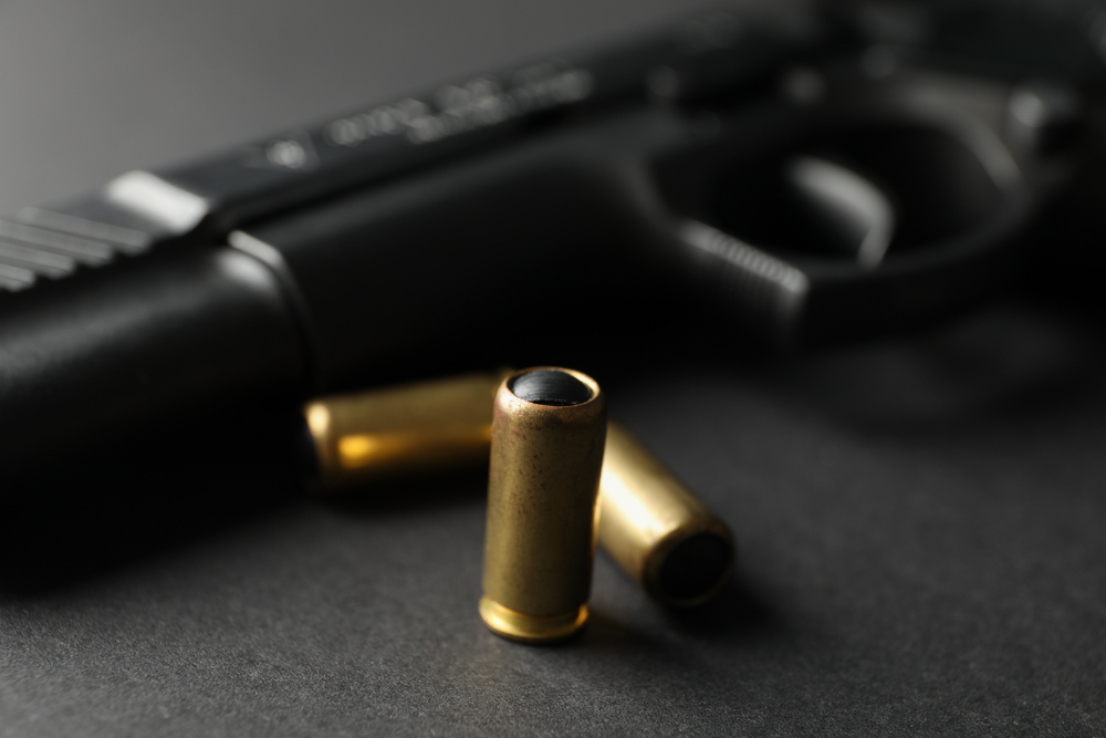 non-lethal guns